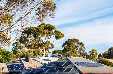 Why You Must Need Solar to Save Your Energy Bill