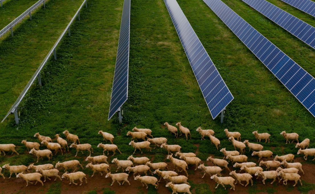 Octopus teams with green bank on 300MW solar-storage project