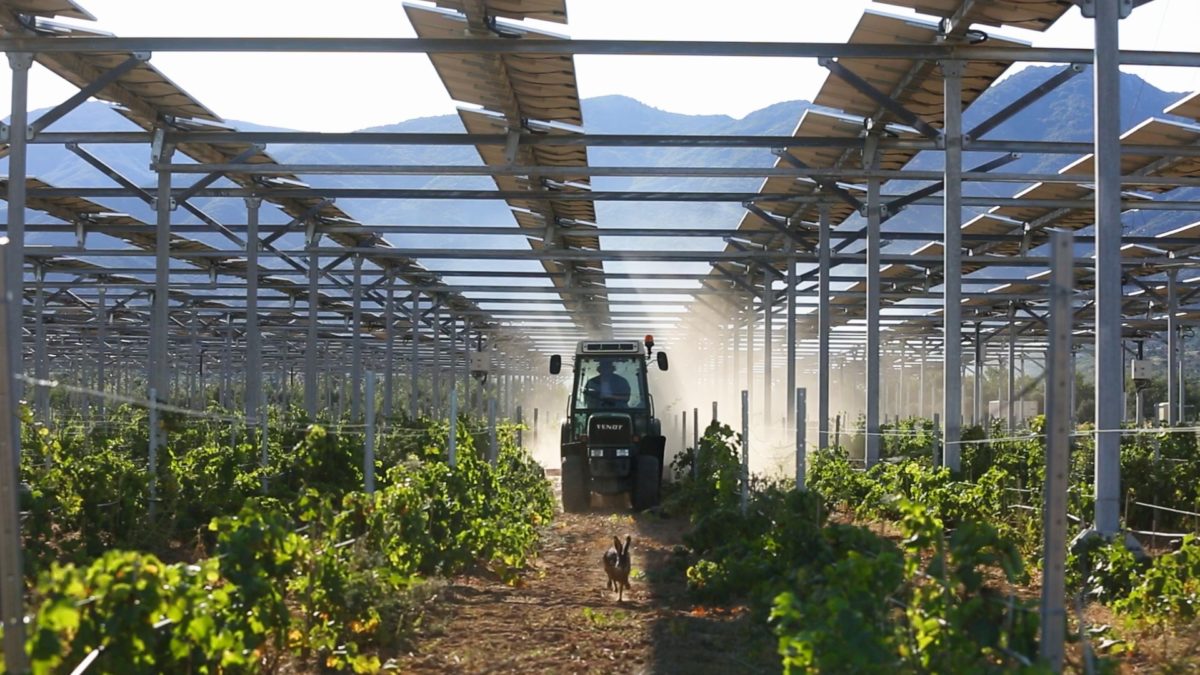The weekend read: European PV subsidies a divisive topic