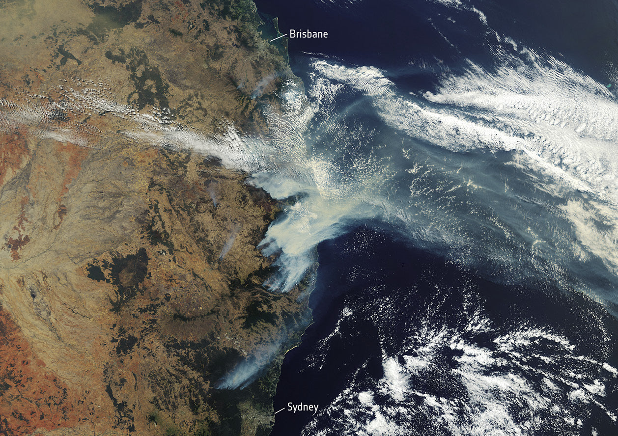 Weekend read: behind Australia’s green swell