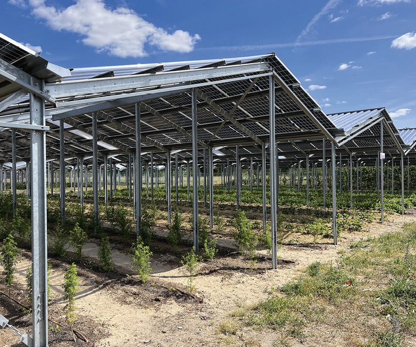The long read: Farming the southern sun