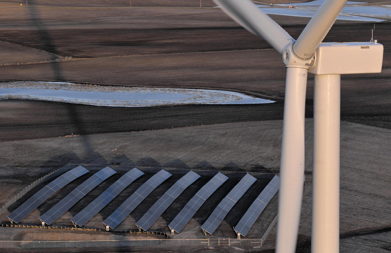 Weekend read: Teamwork makes the green work