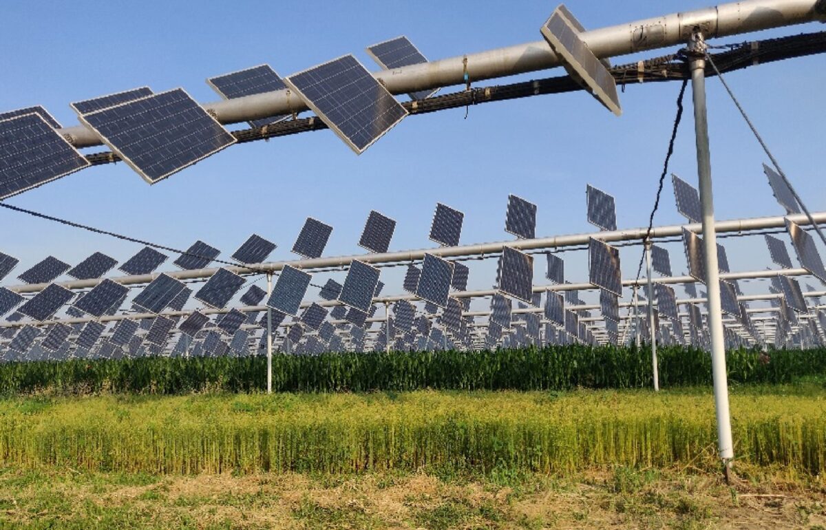 Agrovoltaica vertical bifacial frente a agrovoltaica sobre pilotes