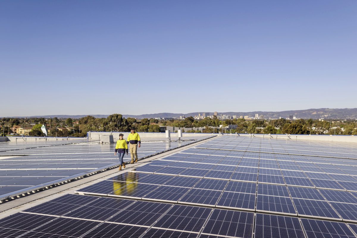 China dominated global solar jobs market in 2021