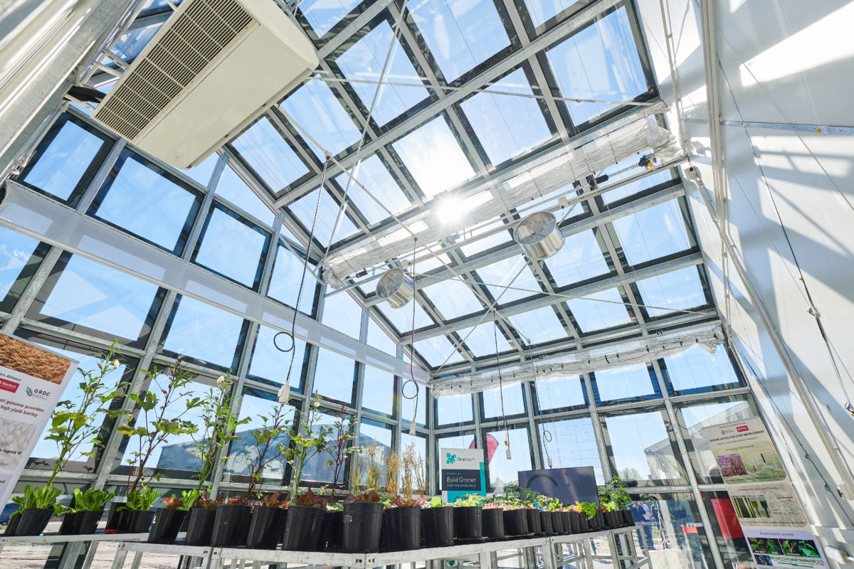 Solar greenhouse trials perform better than expected, proving commerciality company says