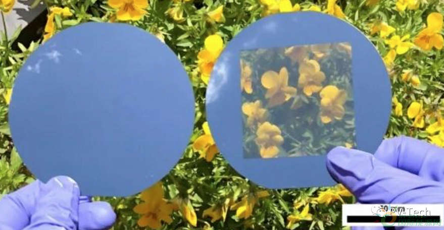 透明度达79%!Schottky结隐形太阳电池亮相