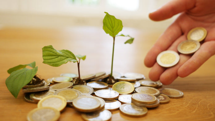 Clean Energy Finance and Investment Roadmap of India: OEDC Report