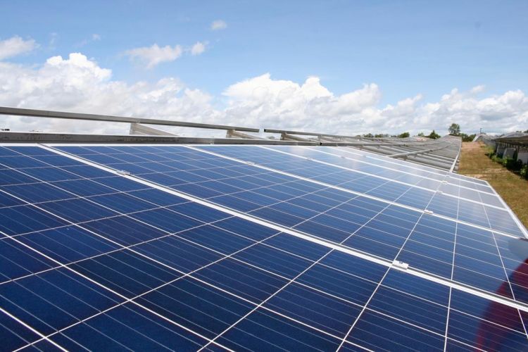 These solar panels pull in water vapor to grow crops in the desert