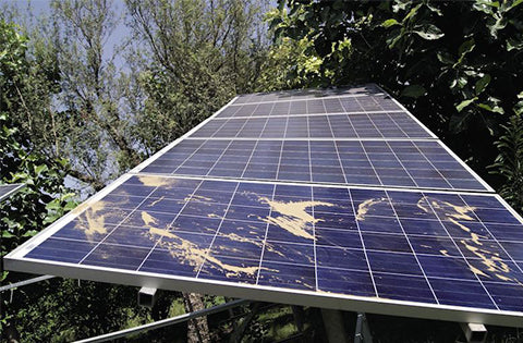 The Hot-spot Effect of Photovoltaic Modules