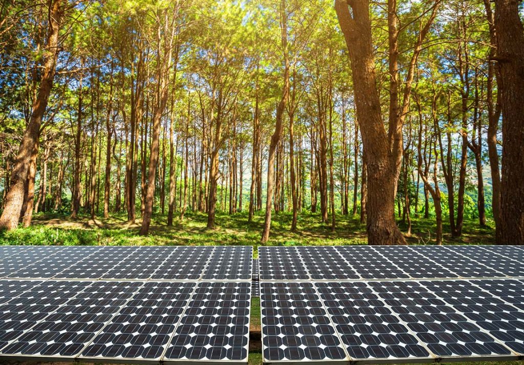 The Lifespan of Your Solar Panel