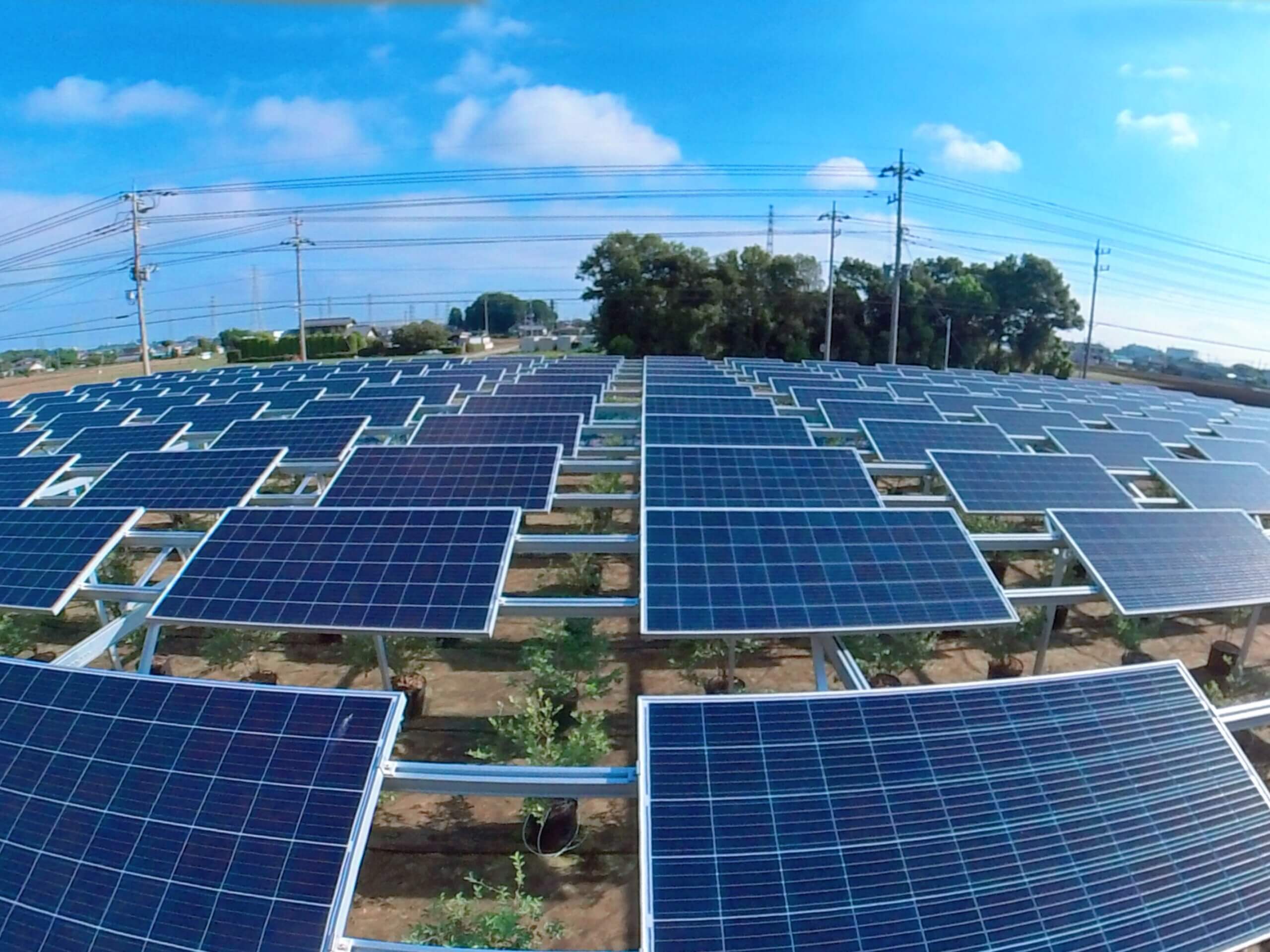 Solar’s known unknowns