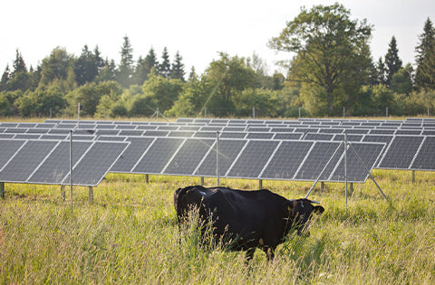 SOLAR POWERED FENCING