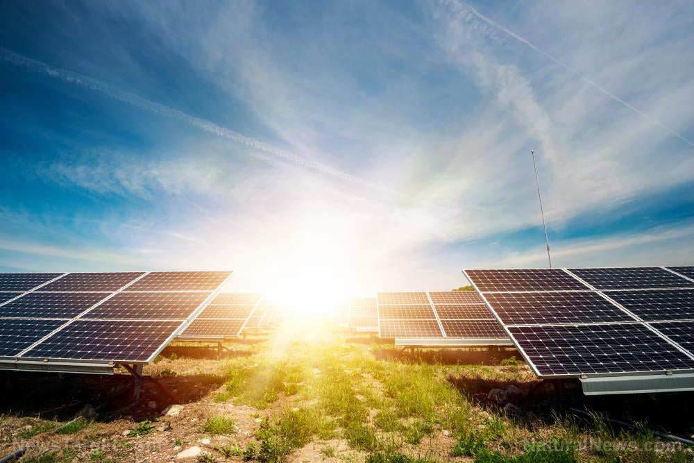 Solar will Play a Major Role in Recovering from Both Health and Climate Crises
