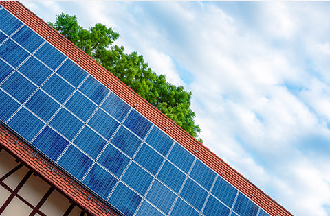 Bright Future of PV Development under Energy Crisis