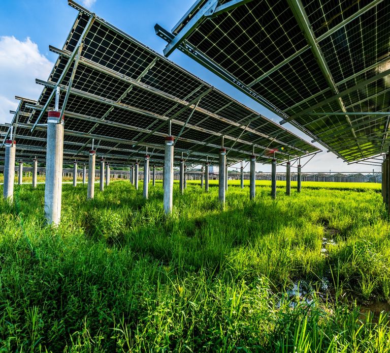 15 recommandations pour le développement serein de l’agrivoltaïsme dans la PPE