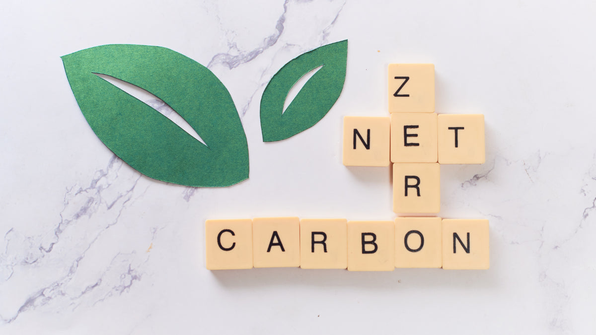 The World Economic Forum Looking at Solutions from India to Help Accelerate Decarbonisation