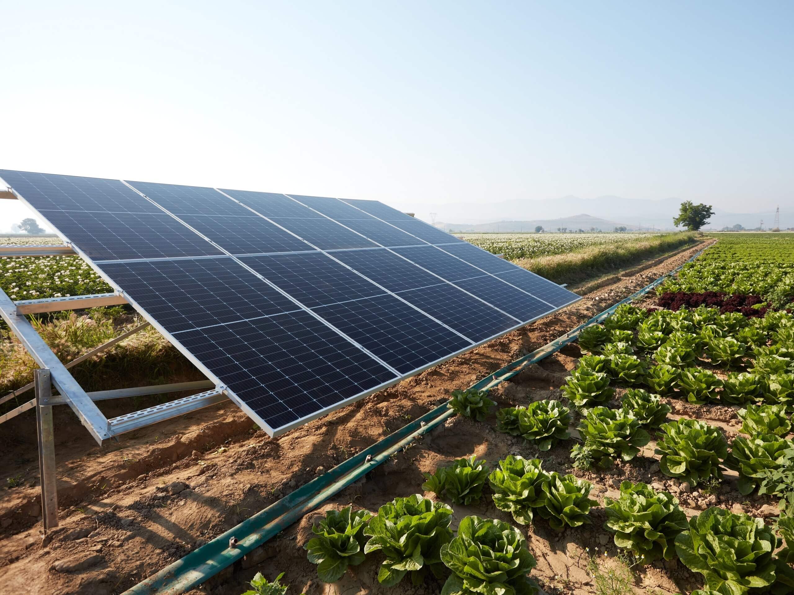 営農型太陽光発電、ガイドライン改正案の意見募集 一時転用の法的根拠を明確化