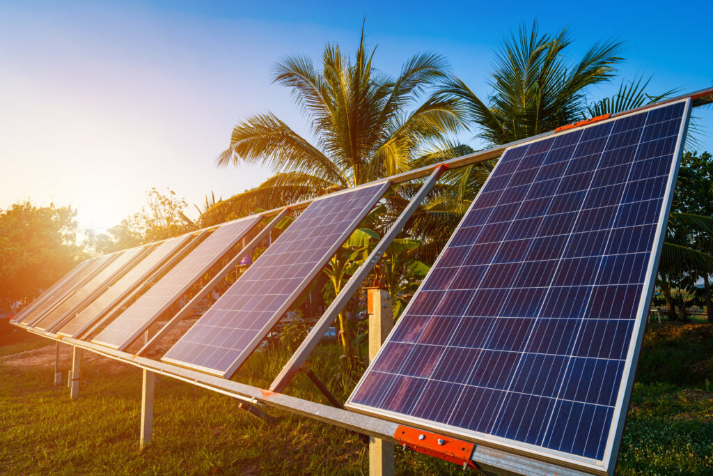 Perchè no Agrivoltaico? L’intervista a Coldiretti Torino
