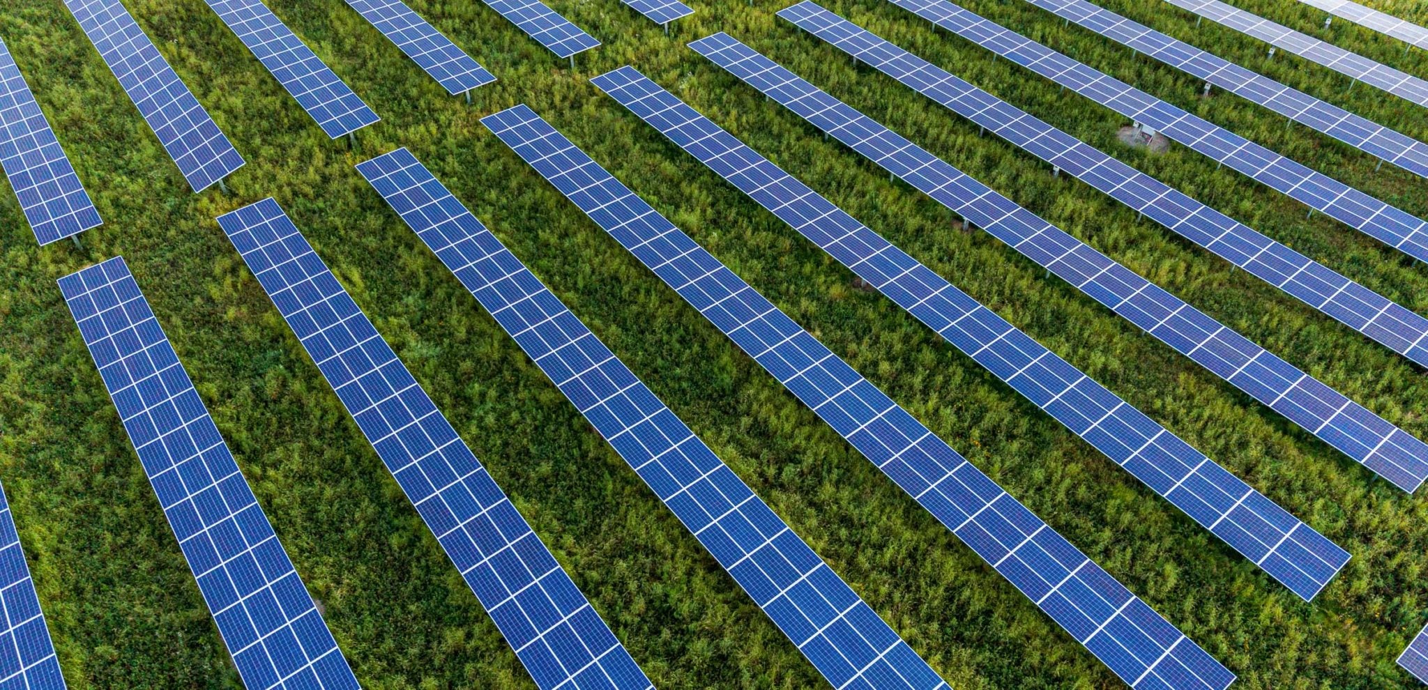 PV Intel announces Solar Development Training consulting service