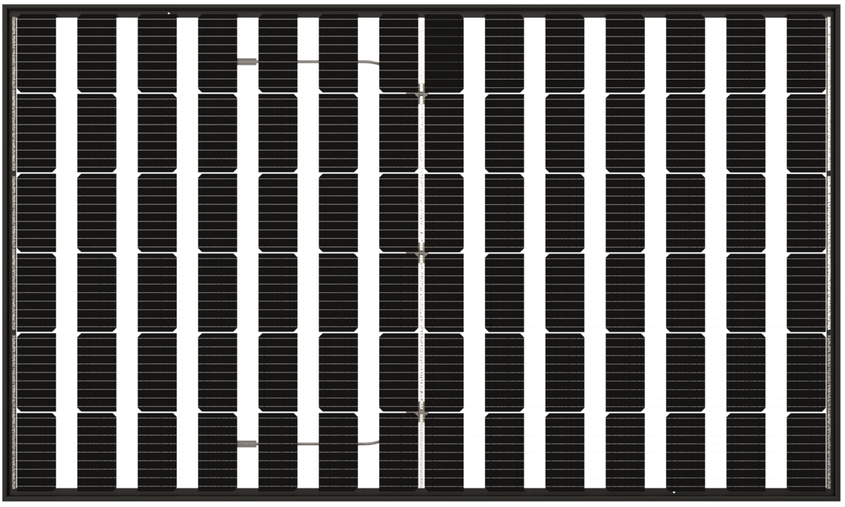 Bisol launches bifacial solar modules with 30% transparency rate for agrivoltaics, carports
