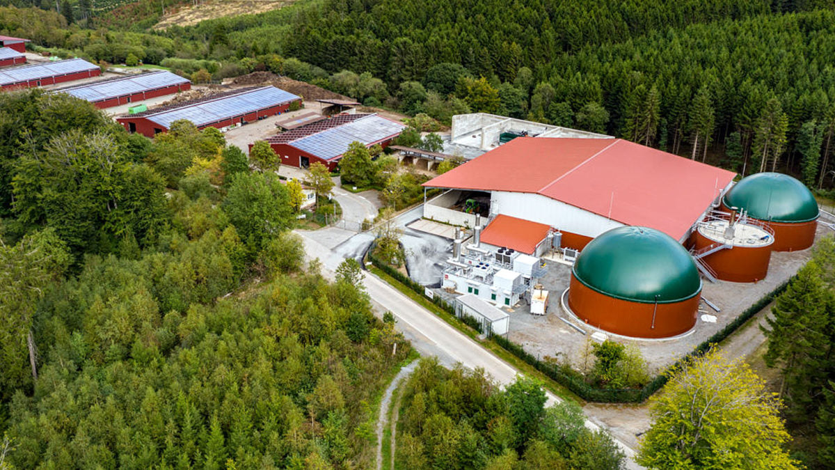 Photovoltaics and anaerobic digestion