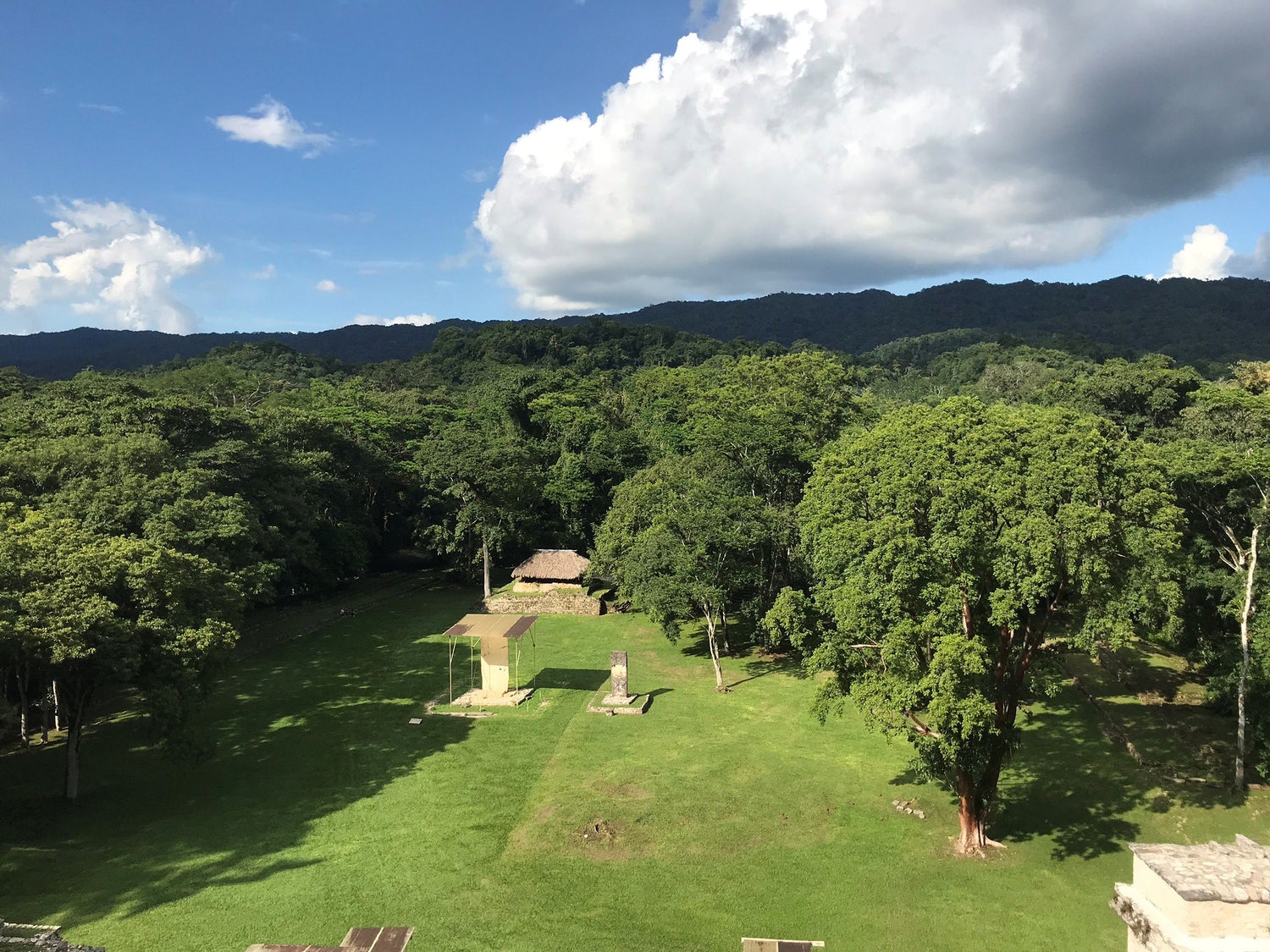 Electromovilidad. Centrales fotovoltaicas. Reducción Gases Efecto Invernadero al 35%, y de emisiones de carbono negro al 51% para el 2030