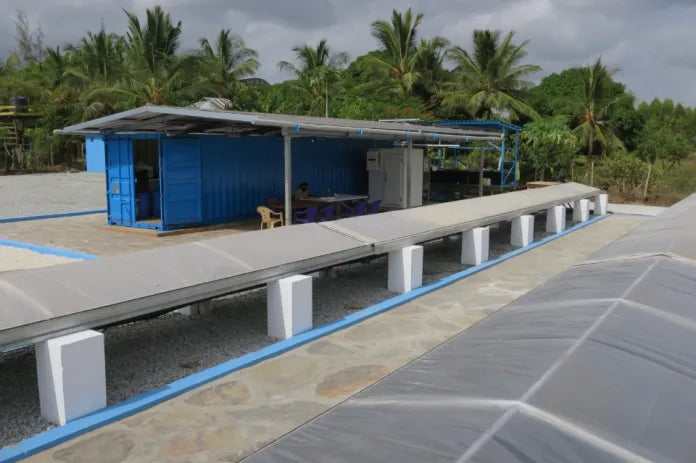 SolCoolDry: Using Solar Energy to Improve Food Security in Rural Africa