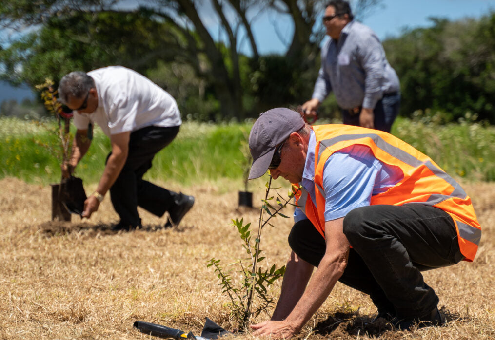 NZ developer starts work on first in suite of five large-scale solar farms