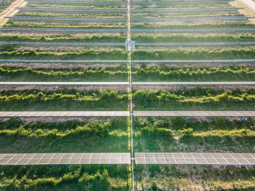 Lightsource bp entra en Brasil con un proyecto de 210 MWp sobre el que ya ha firmado un PPA