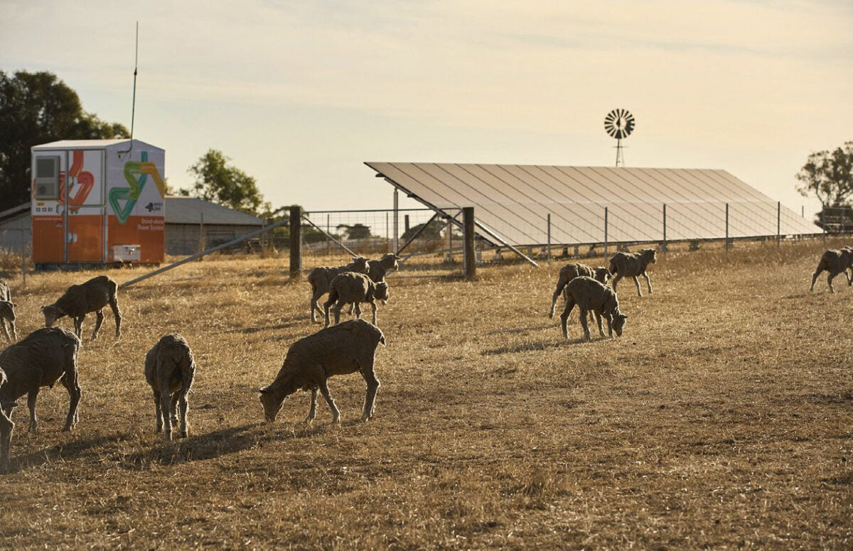 Feeding the appetite for low-carbon food