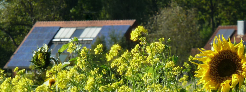 EEG-Osterpaket bringt keine Verbesserung für normale Photovoltaik-Dachanlagen