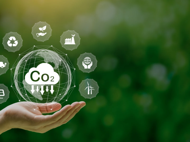 都市部の地域脱炭素に解決策! 伊丹市がCO2ゼロ庁舎を実現した「ソーシャルクレジット」とは?