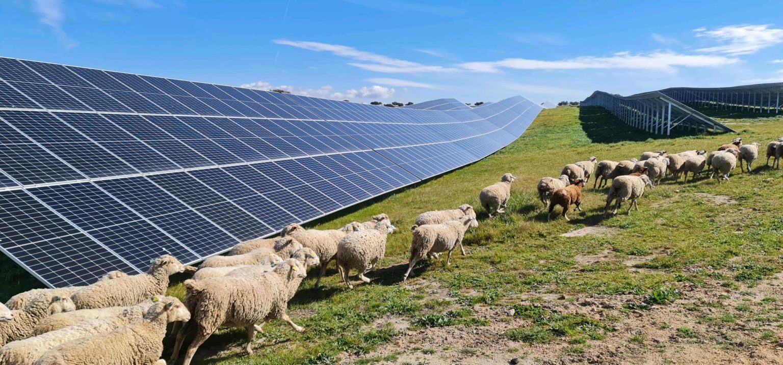 Solarpack offers remote PV self-consumption to Spanish consumers