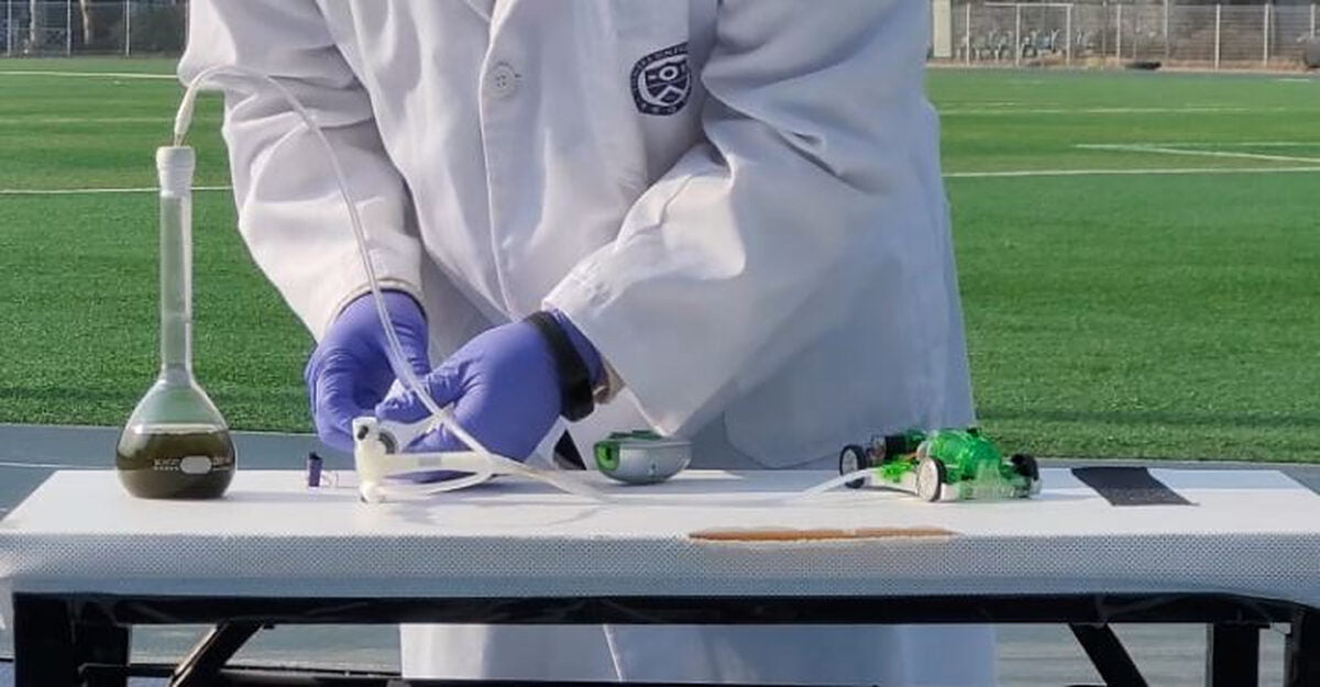 Algae photovoltaics for hydrogen production