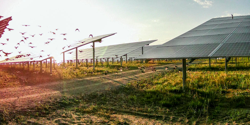 Photovoltaik-Zubau im April bei knapp 553 Megawatt
