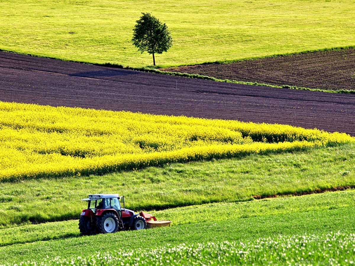 Le Sénat adopte la proposition de loi sur le développement de l’agrivoltaïsme
