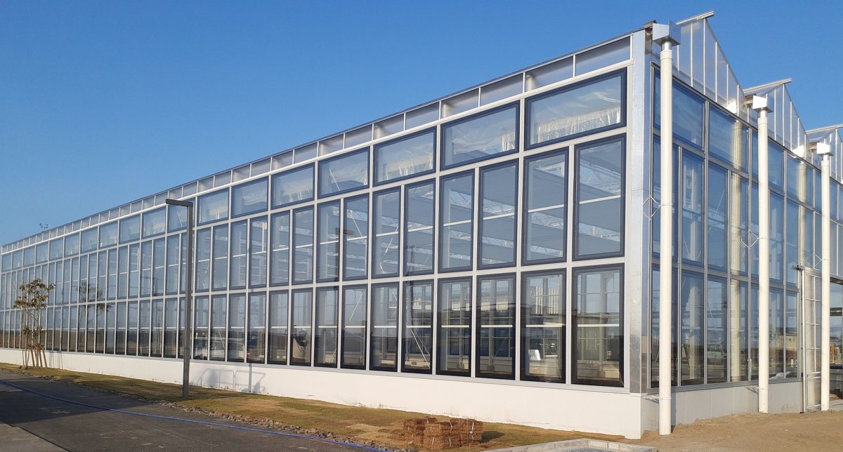 ClearVue secures chance to test solar window tech in Hong Kong