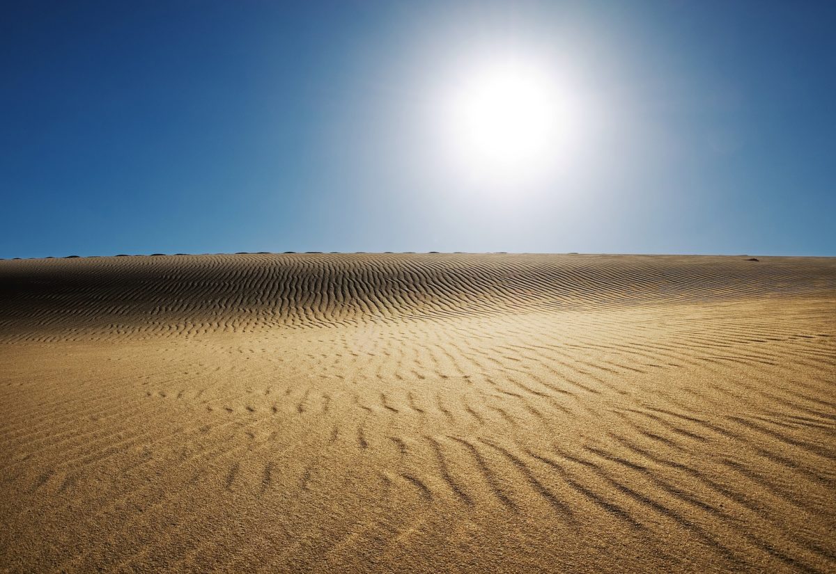 Solar may cover the world’s electricity demand with 0.3% of its land area