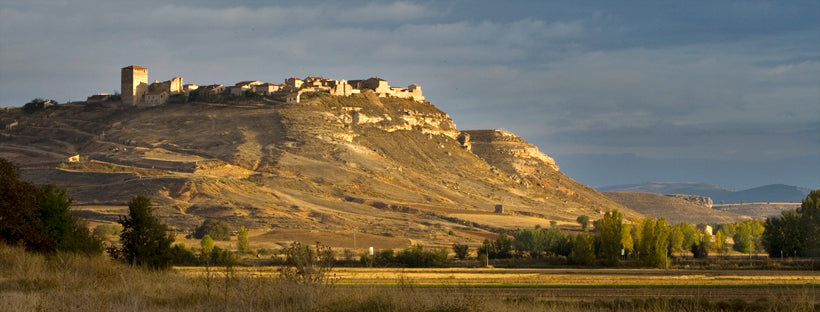 Proyectan en la Ribera del Duero una planta fotovoltaica de 230 MW