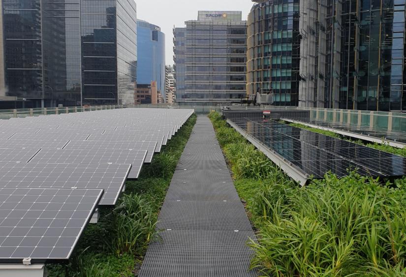 Study shows biosolar rooftop system benefits power output