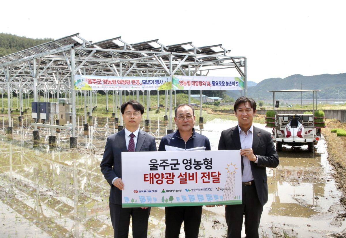 Agrivoltaics for rice growers