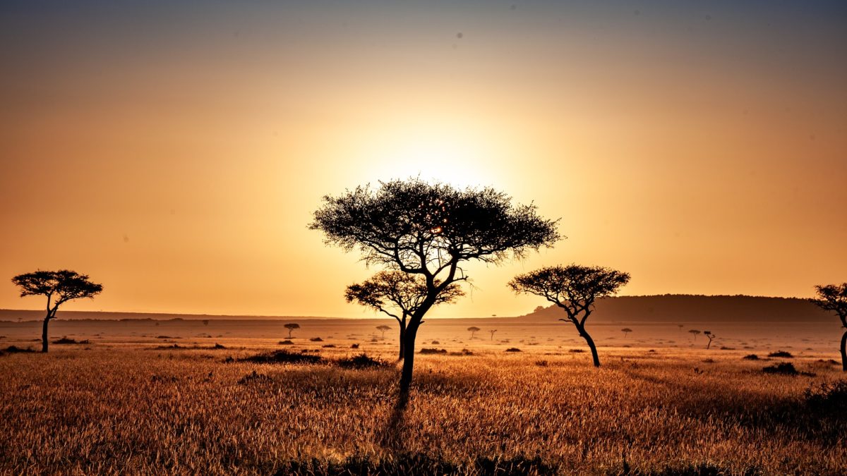 Kenya launches tender for off-grid solar plants