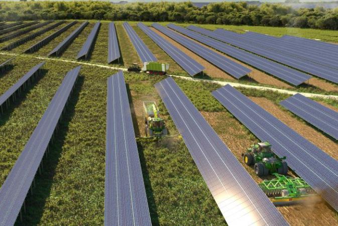 Agrivoltaics adding value to crops with low agricultural yield
