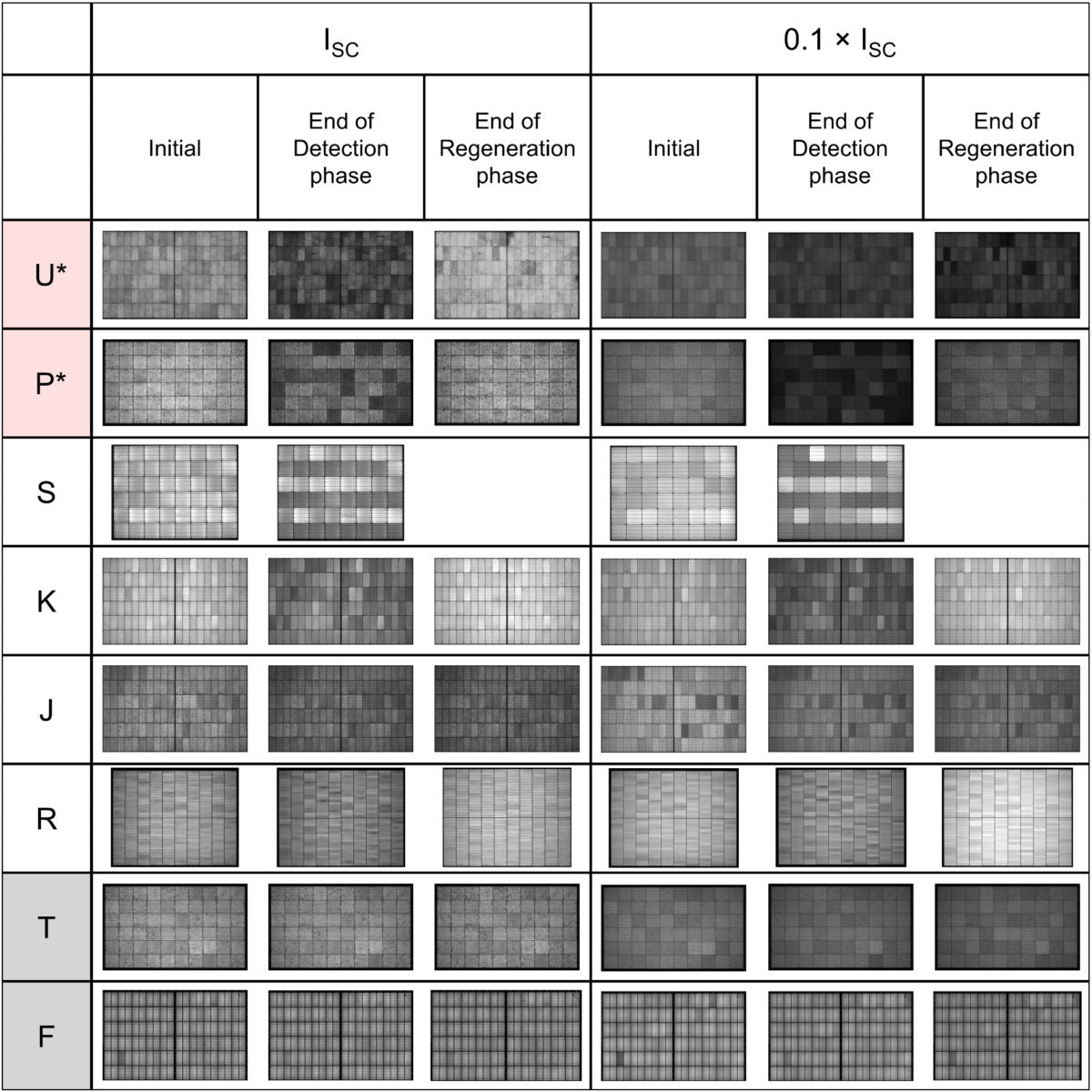 Scientists, industry players reveal plans for new LETID testing standard