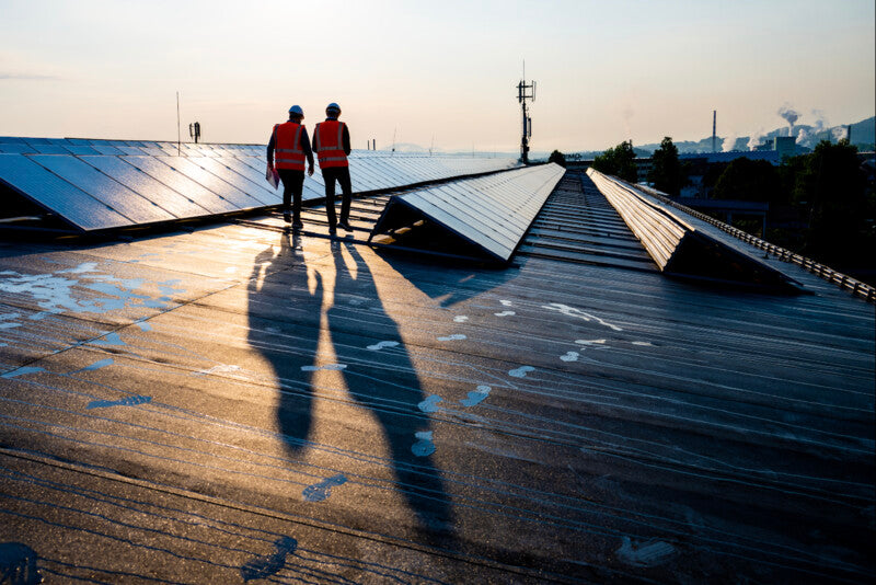 Report warns labour shortage poses risk to renewable energy transition