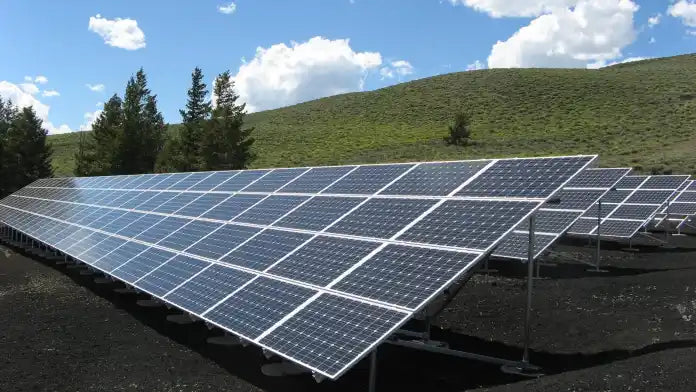 Solar Farms Combined with Agriculture Could Help Meet Global Food-Energy Demands: Study