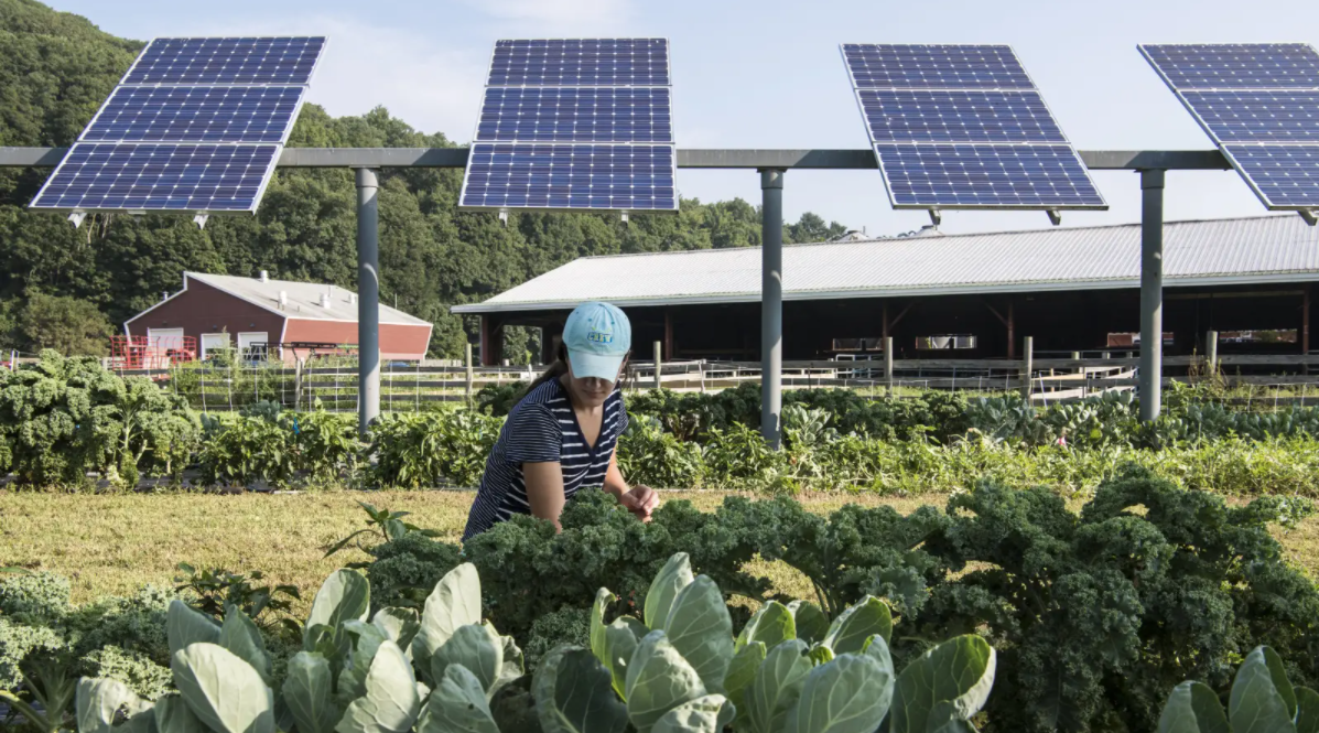Farmer's Guide to Going Solar-1/4