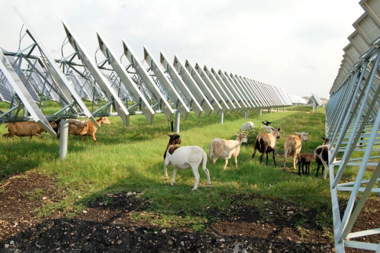 Farmer's Guide to Going Solar-3/4