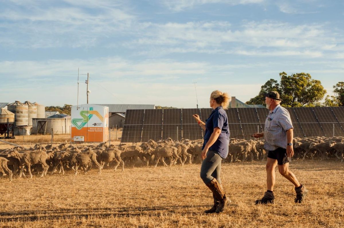 Western Power reaches milestone in off-grid program