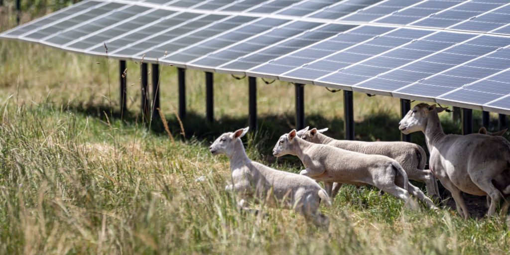 Solar Cluster Baden-Württemberg fordert Aufhebung des landeseigenen 100-Megawatt-Limits für Solarparks